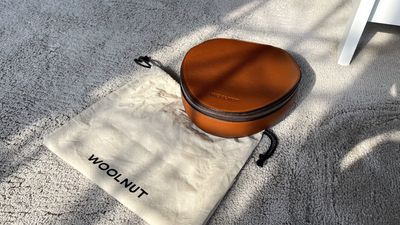 woolnut airpods max case bag